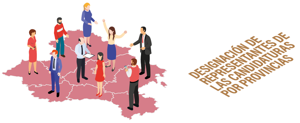 Designación de representantes de las candidaturas por provincias